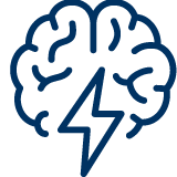 brain