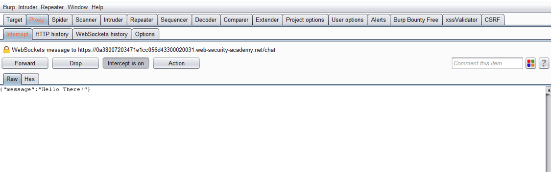 Web Socket Vulnerabilites