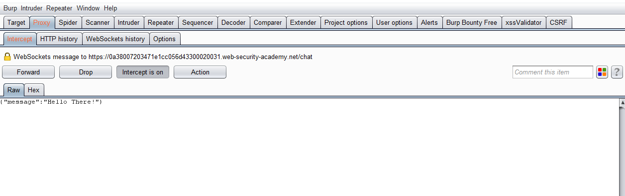 Web Socket Vulnerabilites