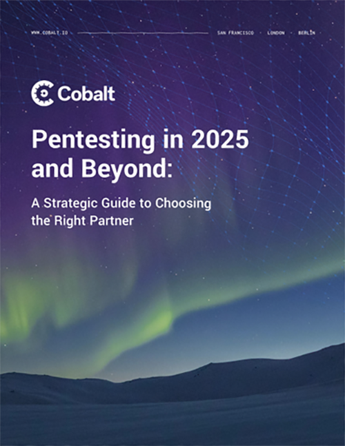 Pentesting in 2025, report