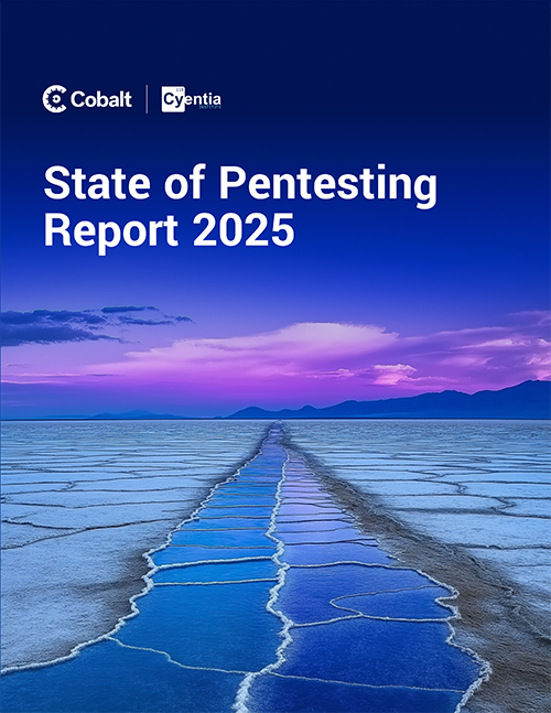 State of Pentesting Report 2025, report
