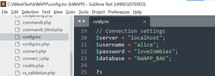 A Pentester's Guide to Source Code Review