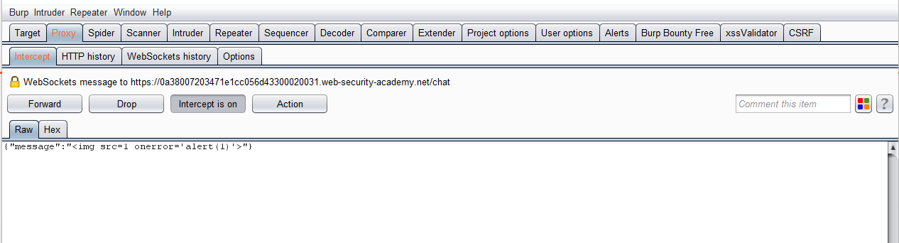 Web Socket Vulnerabilites