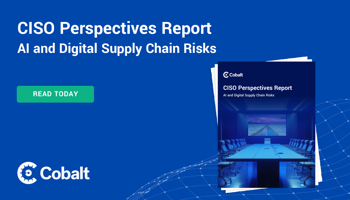 CISO Perspectives Report, thumbnail