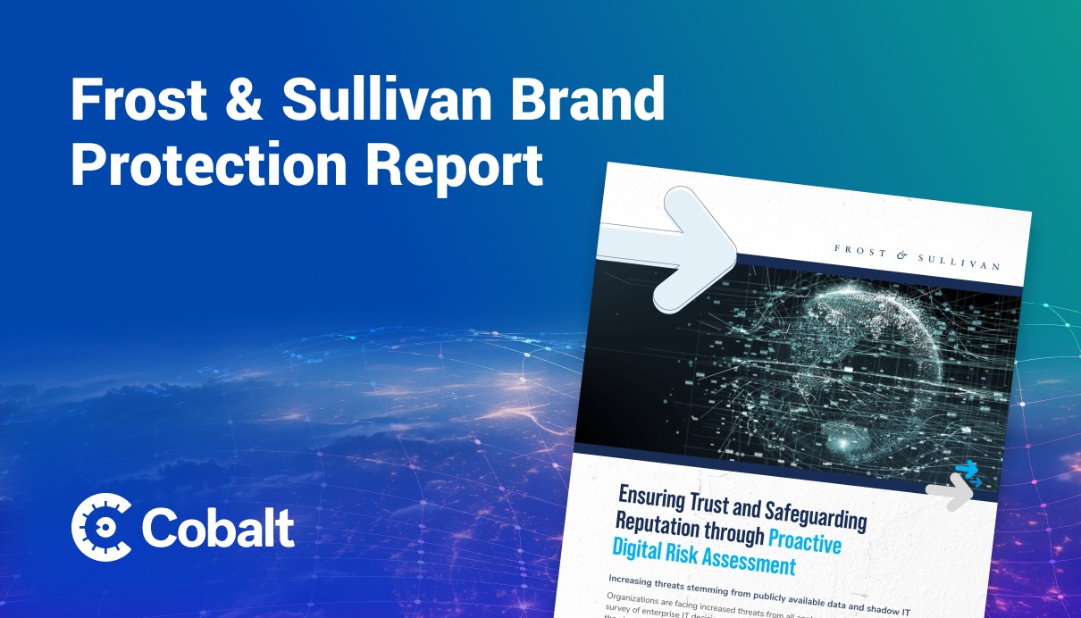 Frost & Sullivan Brand Protection report cover image 