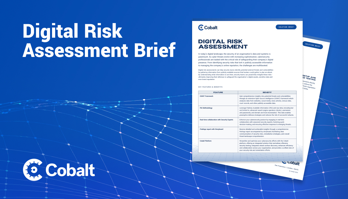 Digital Risk Assessment Brief cover image