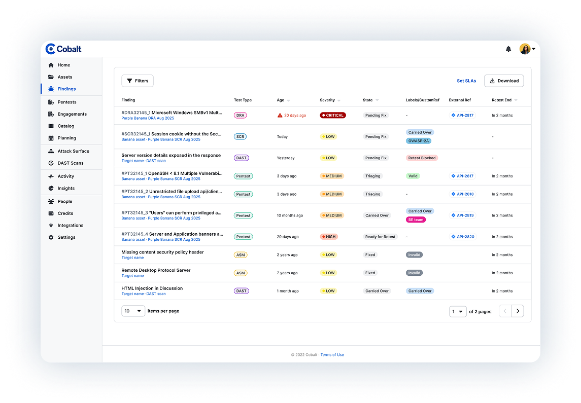 Findings_Cobalt_Platform
