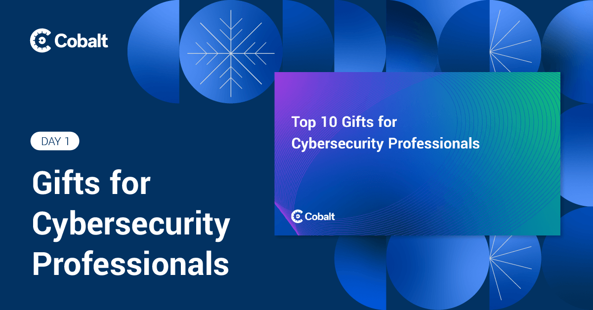 Top 10 Gifts for Cybersecurity Professionals